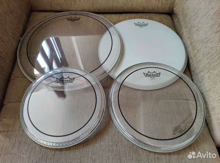 Remo 10,12,14(ambassador),16 pinstripe clear пласт