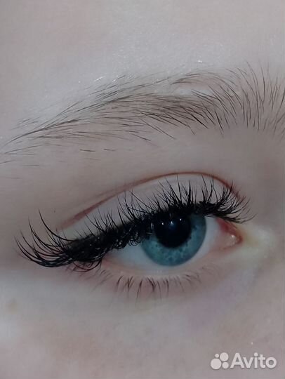 Наращивание, лами