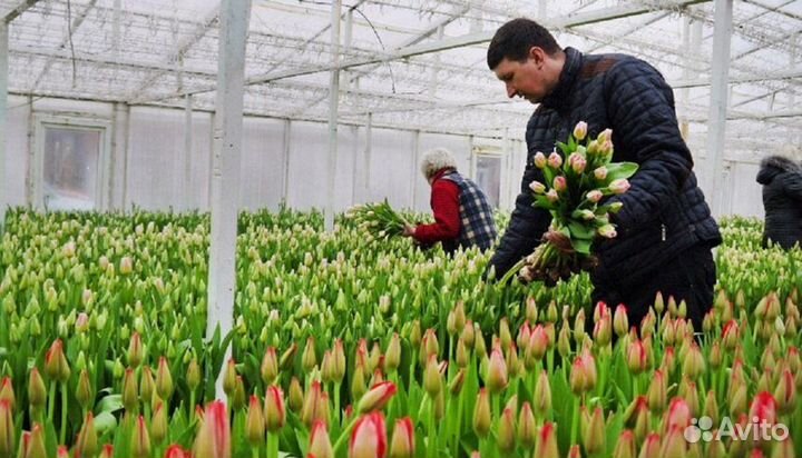 Вахта с проживанием Фасовщик 25 смен Работа вахтой