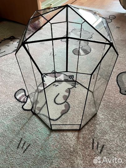 Ваза для флорариума