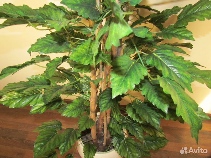 Искуственный лесной орех