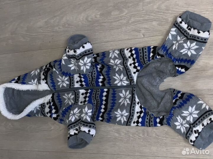 Одежда для собак