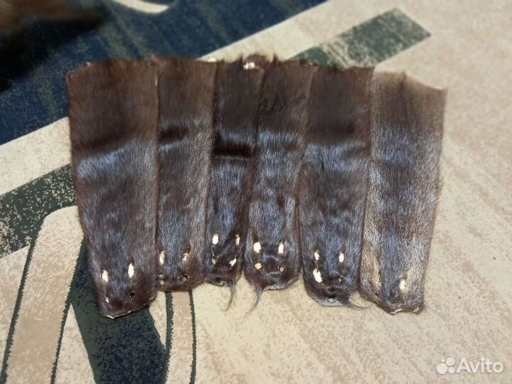 Шкуры нутрии 11 шт
