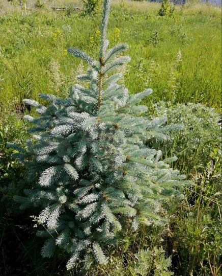 Дом 150 м² на участке 19 сот.