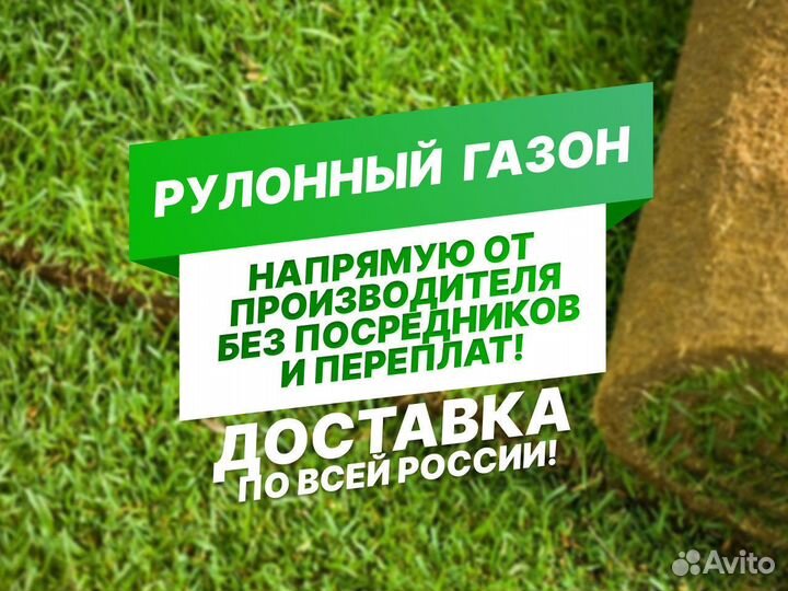 Рулонный газон