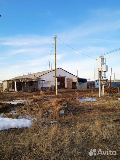 Животноводческая ферма