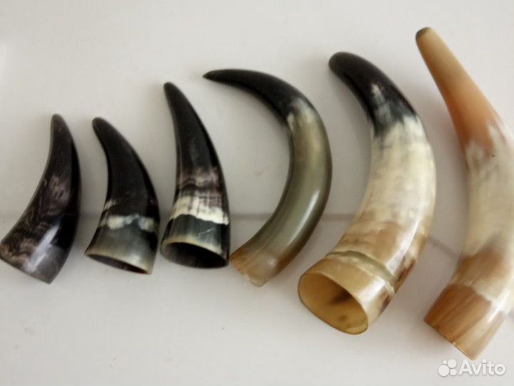 Вешалки, рога коровьи для поделок