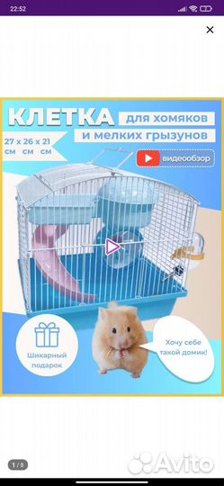 Джунгарский хомяк с клеткой