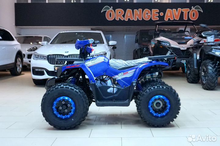 Avantis Hunter 8 New