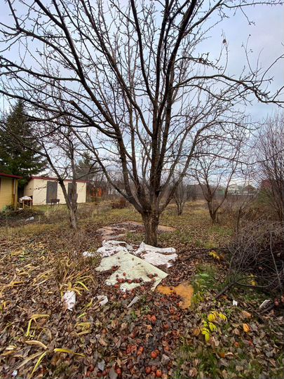 Дача 45 м² на участке 10 сот.