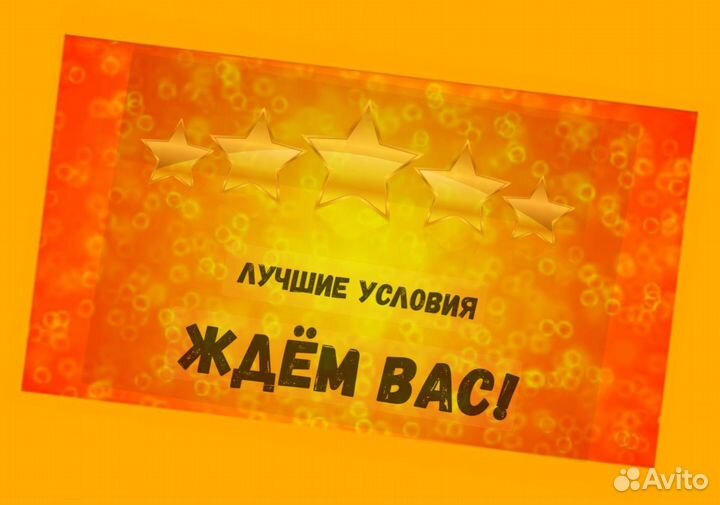 Наборщик заказов Без опыта Еженедельные выплаты