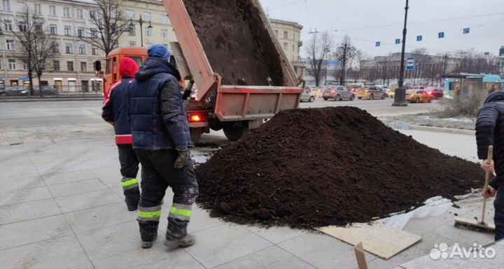 Плодородная почва, земля