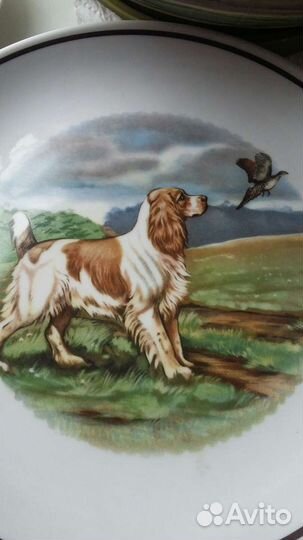 Тарелка настенная Вербилки