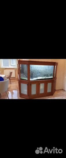 Аквариумные рыбки