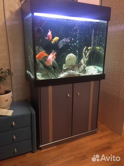 Большой качественный аквариум
