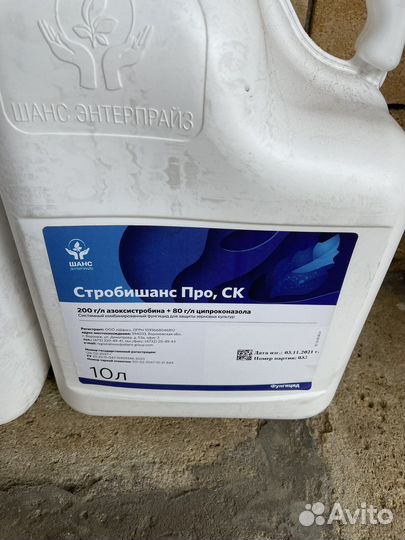 Стробишанс про