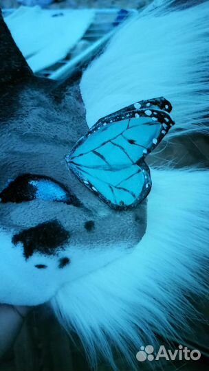 Милая маска домашнего котика