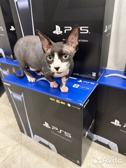 PS5 Аренда play station