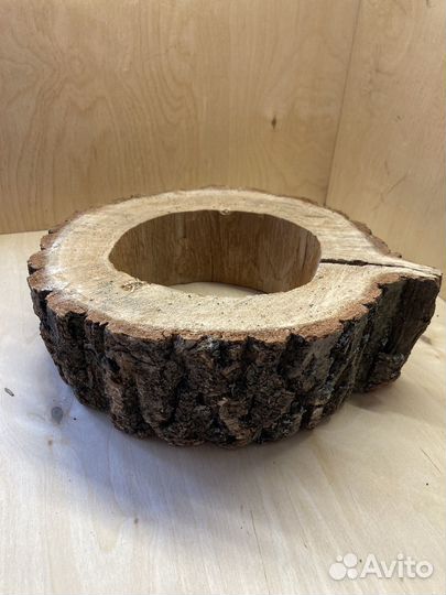 2 спила дуба для творчества