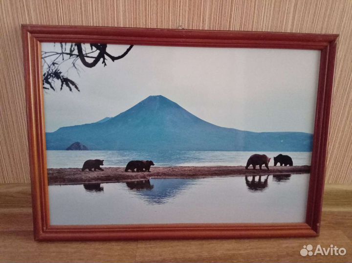 Фотокартины Камчатка