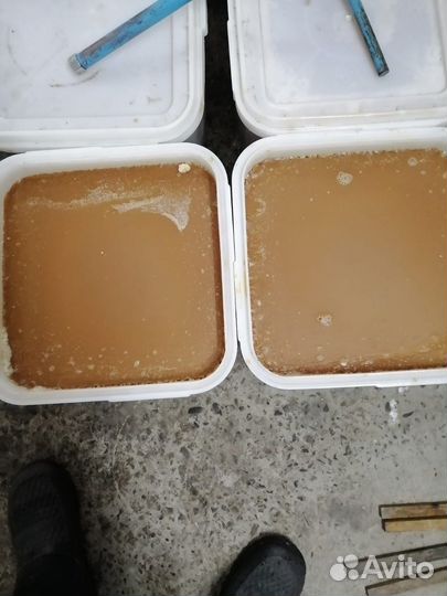 Мед оптом гречишный