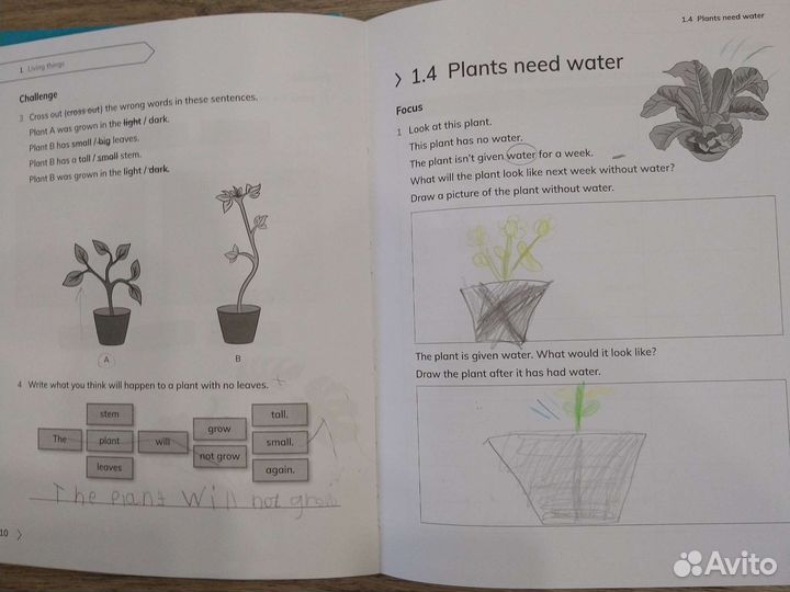 Учебник Primary Science
