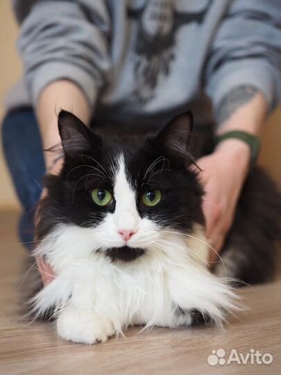 Лев Троцкий