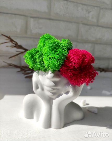 Кашпо/декор для дома/ подарочный набор