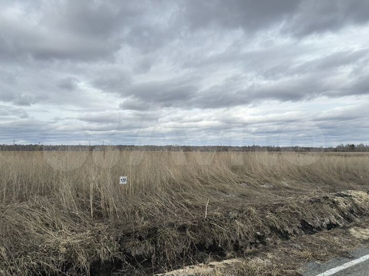 Участок 8 сот. (ИЖС)