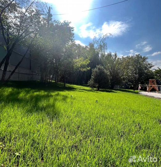 Рулонный газон