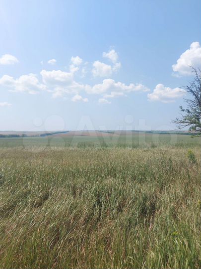 Участок 107 га (СНТ, ДНП)