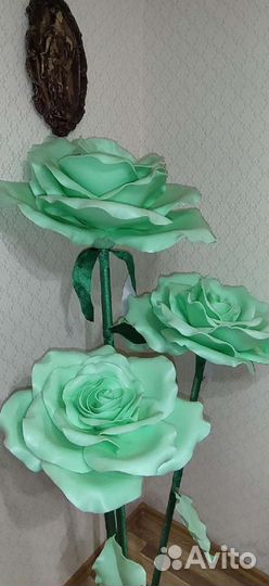 Ростовая роза