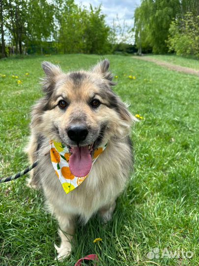 Забери меня