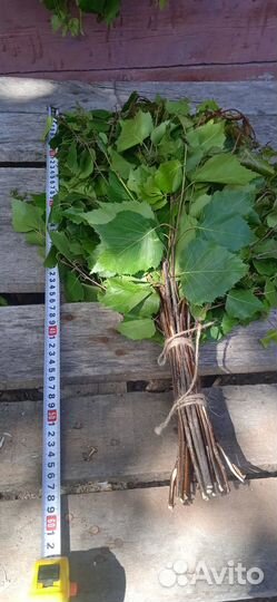 Веники березовые для бани