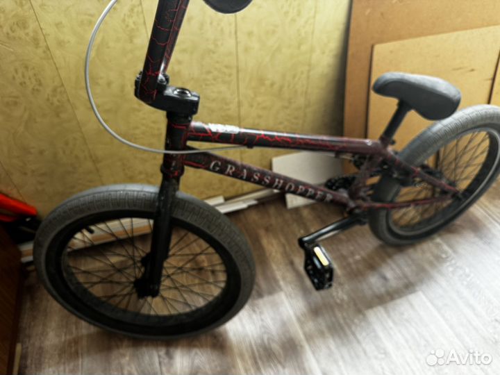 BMX Tech Team Grasshopper