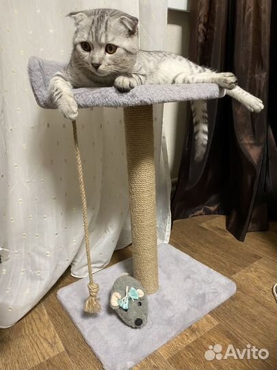 Домик когтеточка для кошек