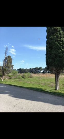 Участок 6 сот. (ИЖС)