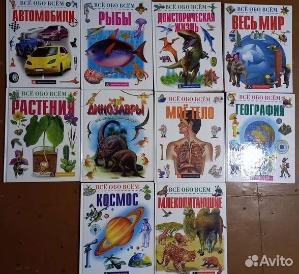 Серии книг (1)