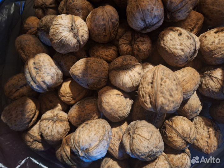 Орех грецкий