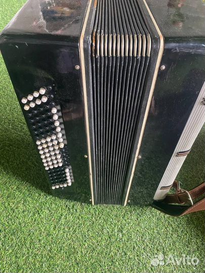 Баян (вологодская фабрика)