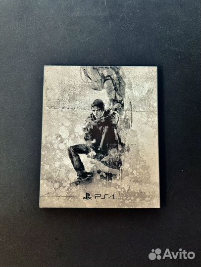 Infamous Второй сын Special Edition ps4