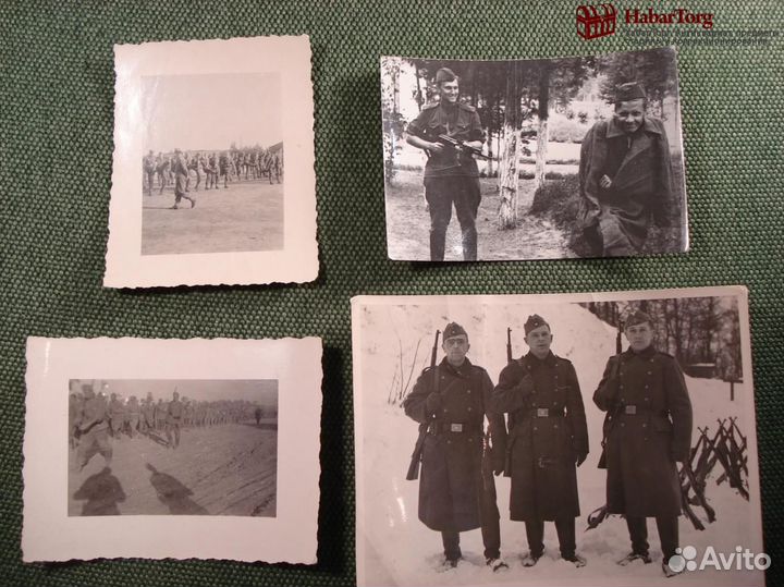 Фотографии (4 штуки) 