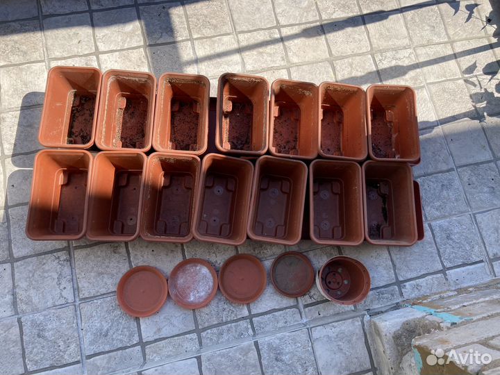 Горшки для рассады, домашний огород