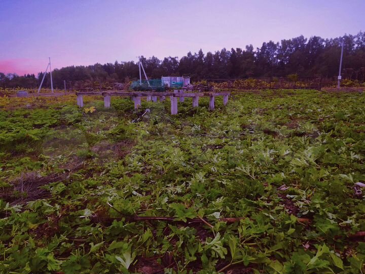 Участок 13,7 сот. (ИЖС)