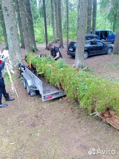 Подъем стёкол/зеркал, такелажники(груз), курьеры