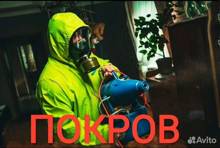 Дезинфекция
