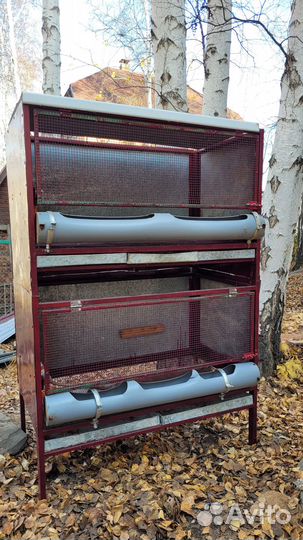 Брудер для кур