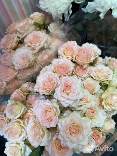 Кустовые розы