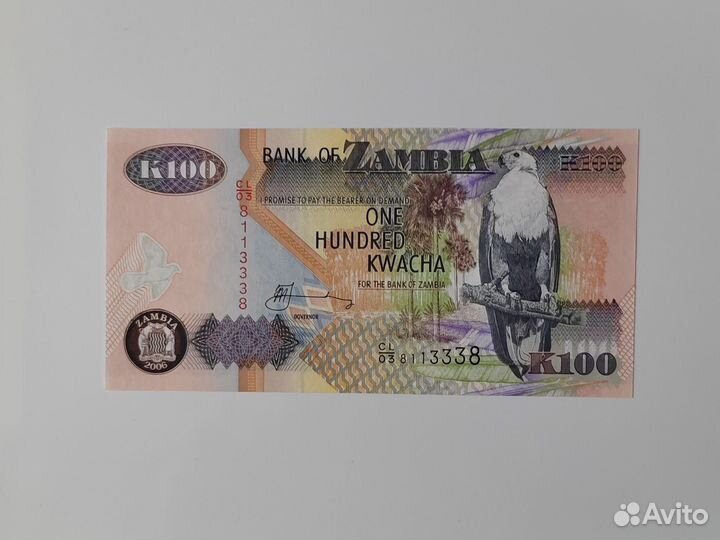 Банкноты африки