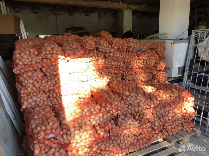 Картошка оптом